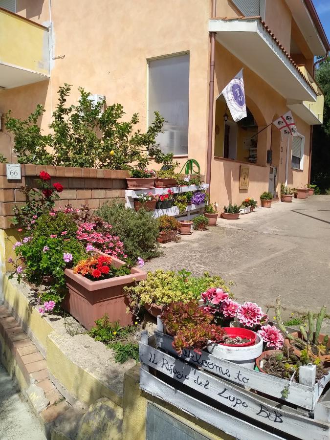 B&B Il Rifugio Del Lupo - E6721 Paringianu ภายนอก รูปภาพ
